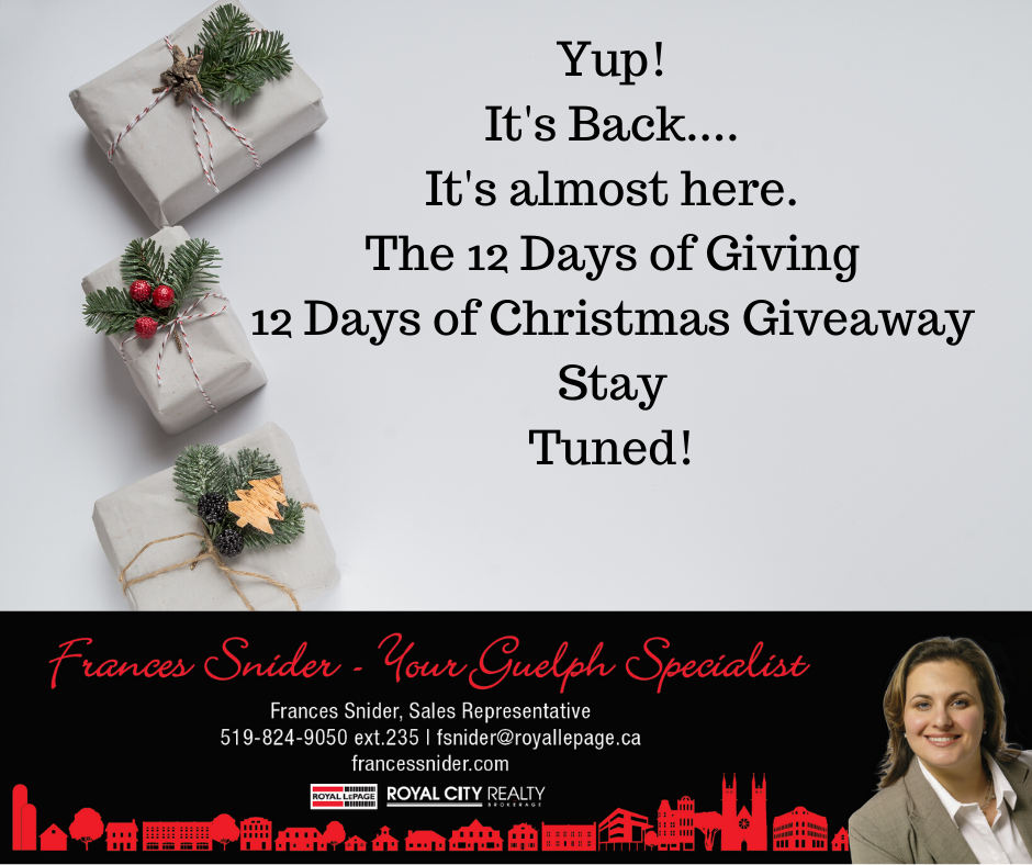 12 DOG initial FB post